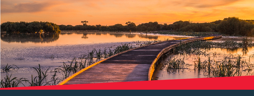 Bool lagoon and boardwalk at sunset